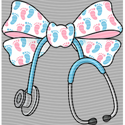 nurse-HS 1002